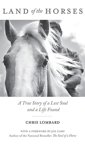 land-of-horses