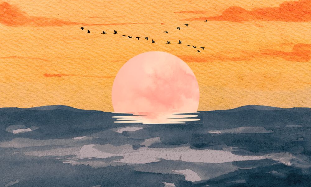 illustrated image of sun setting at horizon of the ocean, dos and don'ts of motivating yourself to write a book