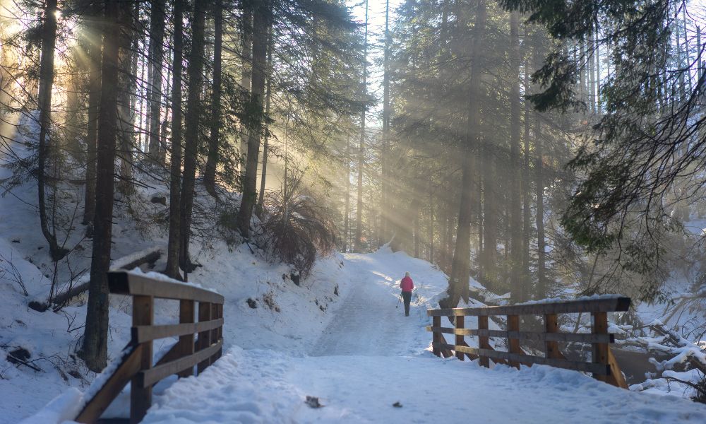 person wearing red jacket and hiking a snowy mountain road; New Year, New Words: Mastering Your January Writing Routine